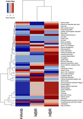 Systems View of Deconditioning During Spaceflight Simulation in the PlanHab Project: The Departure of Urine 1 H-NMR Metabolomes From Healthy State in Young Males Subjected to Bedrest Inactivity and Hypoxia